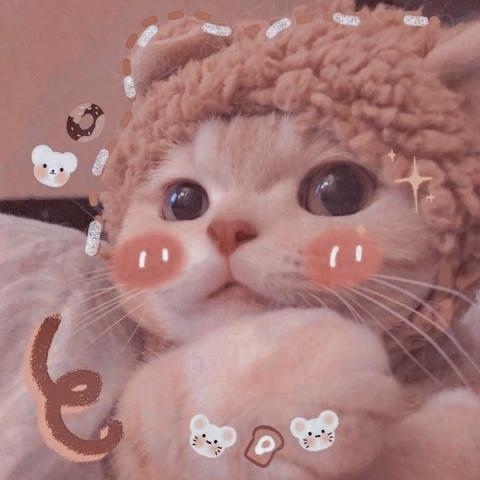 k.honey's picture