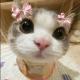 Lacinda's picture